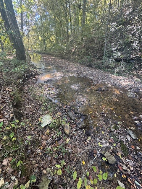 0 Barren Frk Lane Lyles, TN 37098 - Photo 17 of 29 a view of a yard with a tree