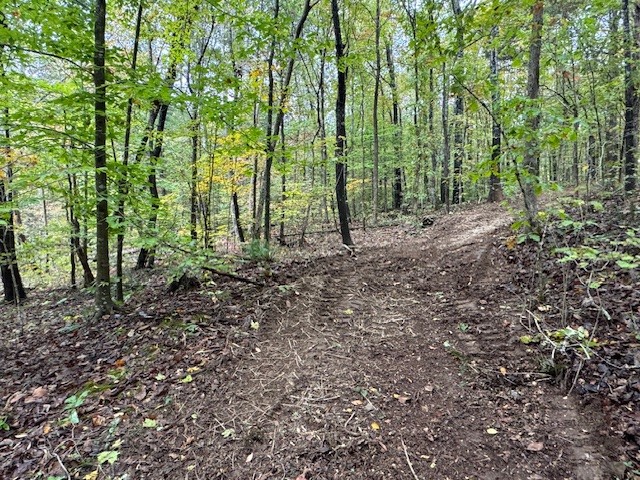 0 Barren Frk Lane Lyles, TN 37098 - Photo 18 of 29 a view of outdoor space and green space