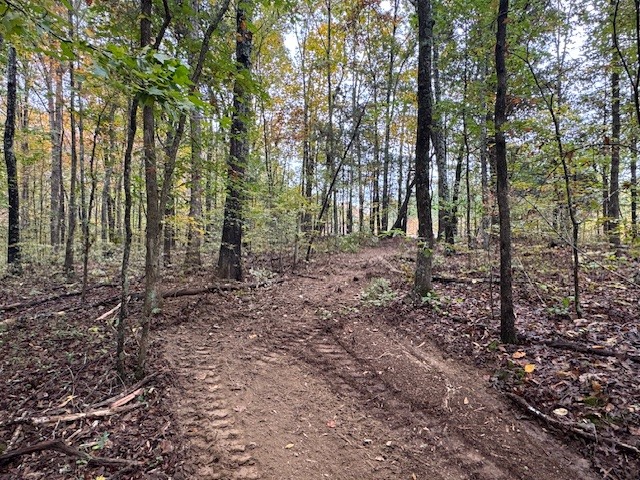 0 Barren Frk Lane Lyles, TN 37098 - Photo 19 of 29 a view of a forest with trees