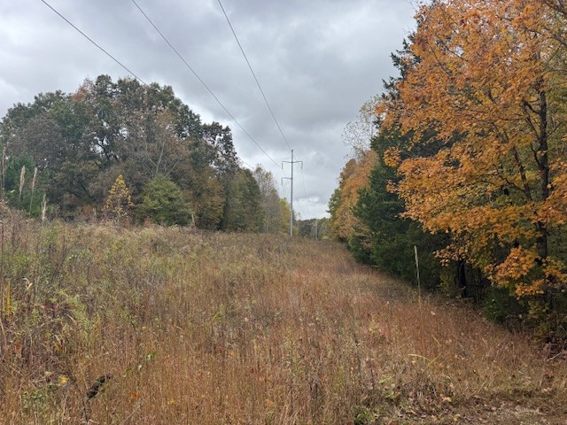 0 Barren Frk Lane Lyles, TN 37098 - Photo 21 of 29 a view of a forest with trees in the background