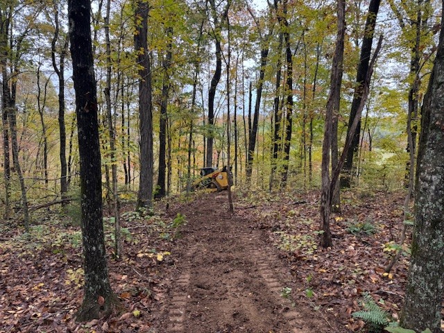 0 Barren Frk Lane Lyles, TN 37098 - Photo 22 of 29