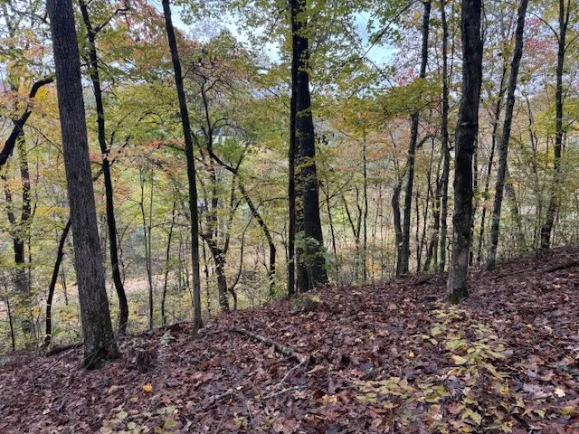 $650,000 | 0 Barren Frk Lane, Lyles, TN 37098