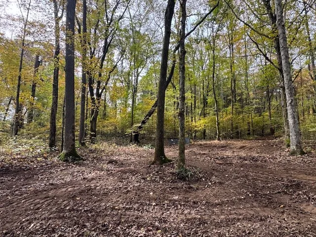 $650,000 | 0 Barren Frk Lane, Lyles, TN 37098