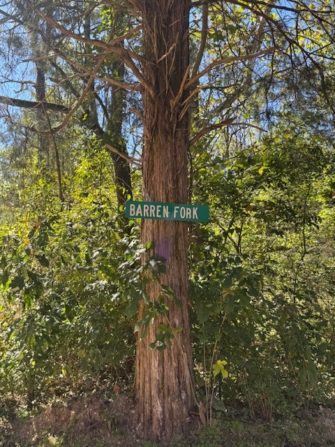 0 Barren Frk Lane Lyles, TN 37098 - Photo 29 of 29