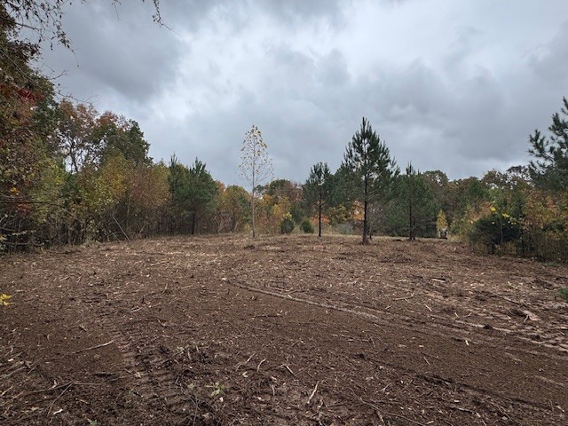 0 Barren Frk Lane Lyles, TN 37098 - Photo 3 of 29 a view of a field with trees in background