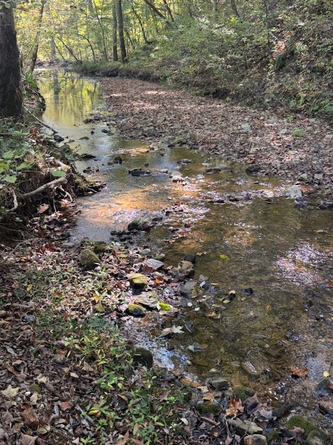 0 Barren Frk Lane Lyles, TN 37098 - Photo 4 of 29