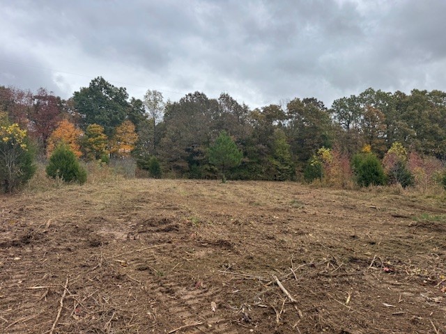 0 Barren Frk Lane Lyles, TN 37098 - Photo 5 of 29 a view of a dry yard with trees in the background