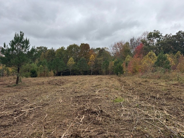 0 Barren Frk Lane Lyles, TN 37098 - Photo 8 of 29 a view of a dry yard with trees in the background