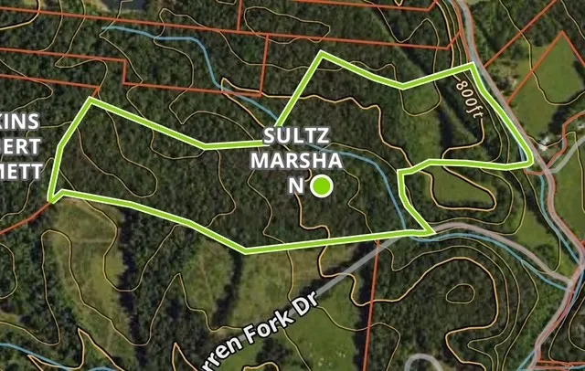 a view of outdoor space and trees