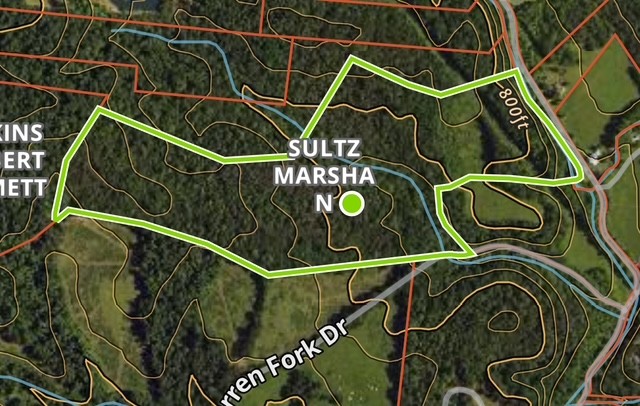 0 Barren Frk Lane Lyles, TN 37098 - Photo 9 of 29