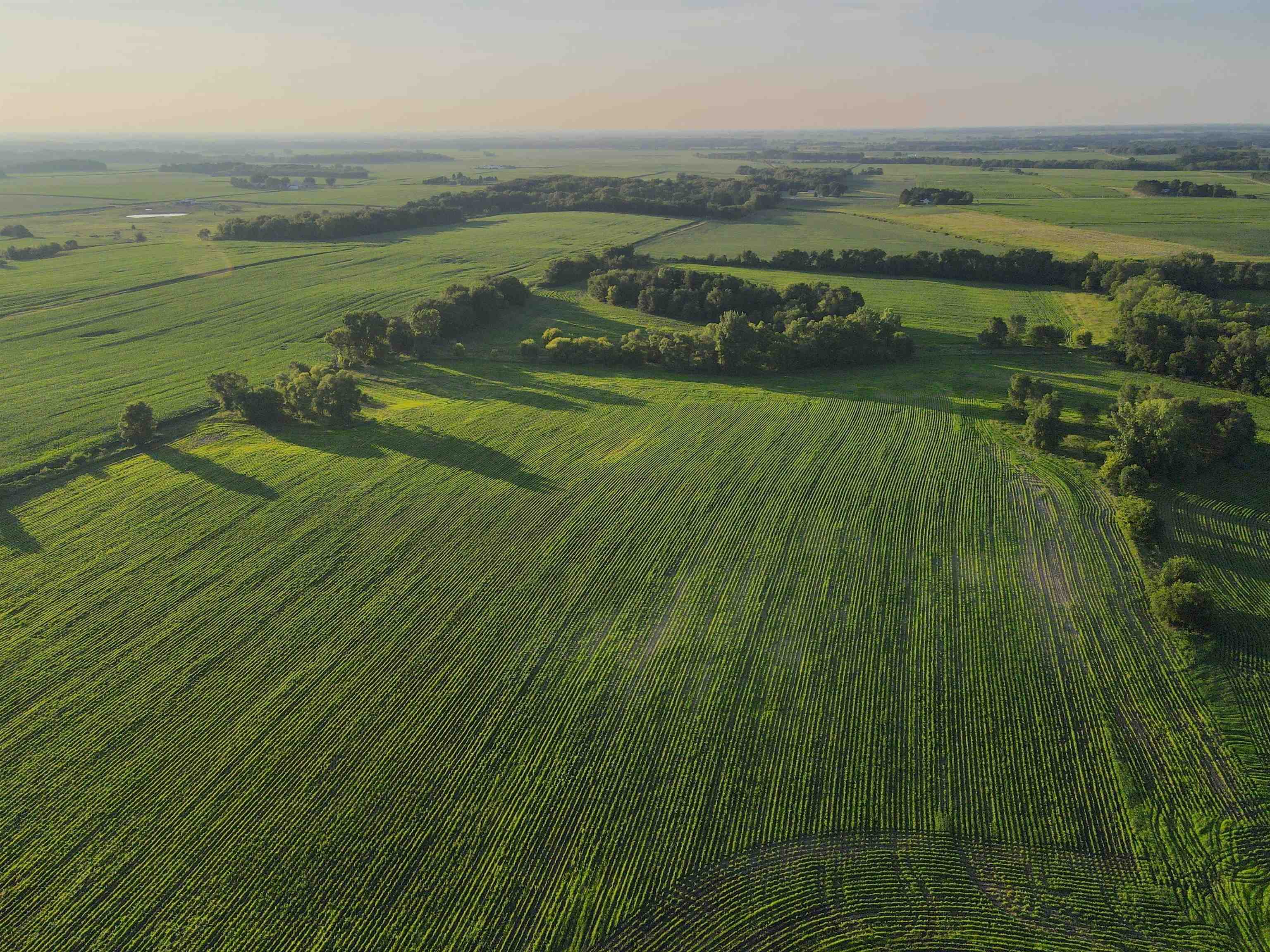 0 Todd Road Amboy, IL 61310 - Photo 12 of 58
