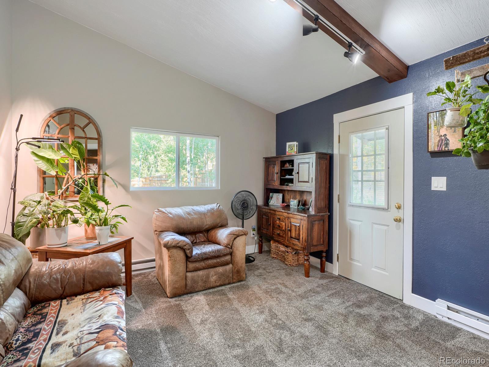 31289 Florence Road Conifer, CO 80433 - Photo 32 of 47