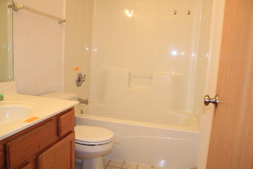 1319 Roth Drive Joliet, IL 60431 - Photo 10 of 10 a bathroom with a sink a toilet and shower