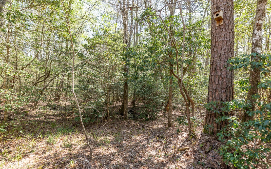 25 Laurel Ridge Morganton, GA 30560 - Photo 27 of 75 Additional View