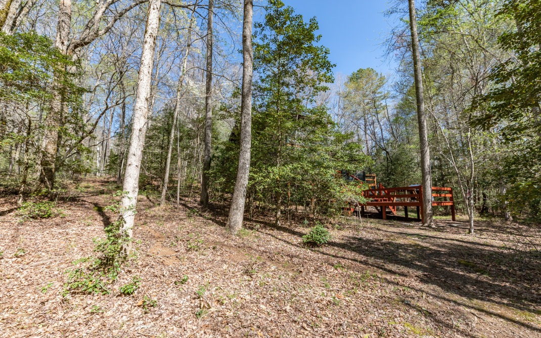 25 Laurel Ridge Morganton, GA 30560 - Photo 30 of 75 Additional View