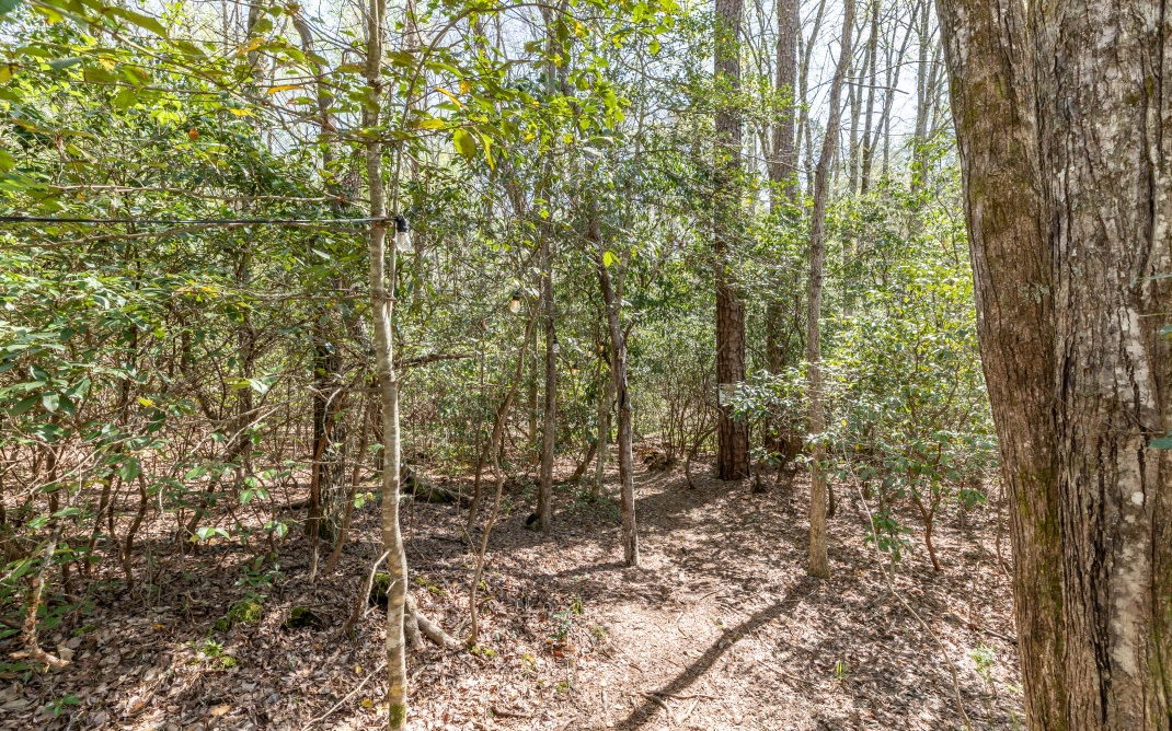 25 Laurel Ridge Morganton, GA 30560 - Photo 32 of 75 Additional View