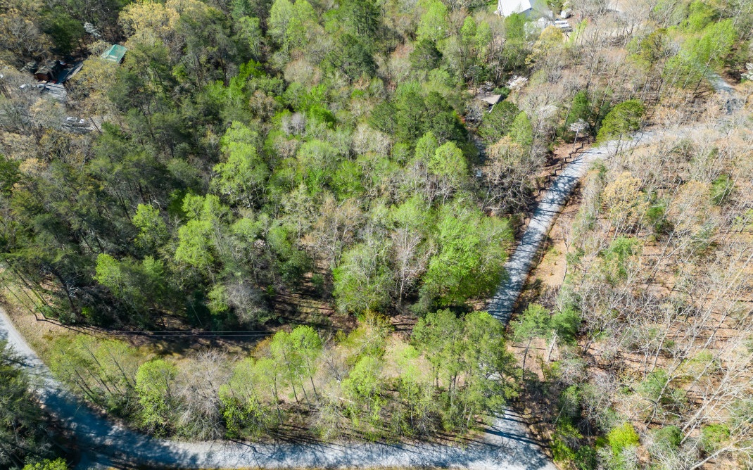 25 Laurel Ridge Morganton, GA 30560 - Photo 75 of 75 Additional View