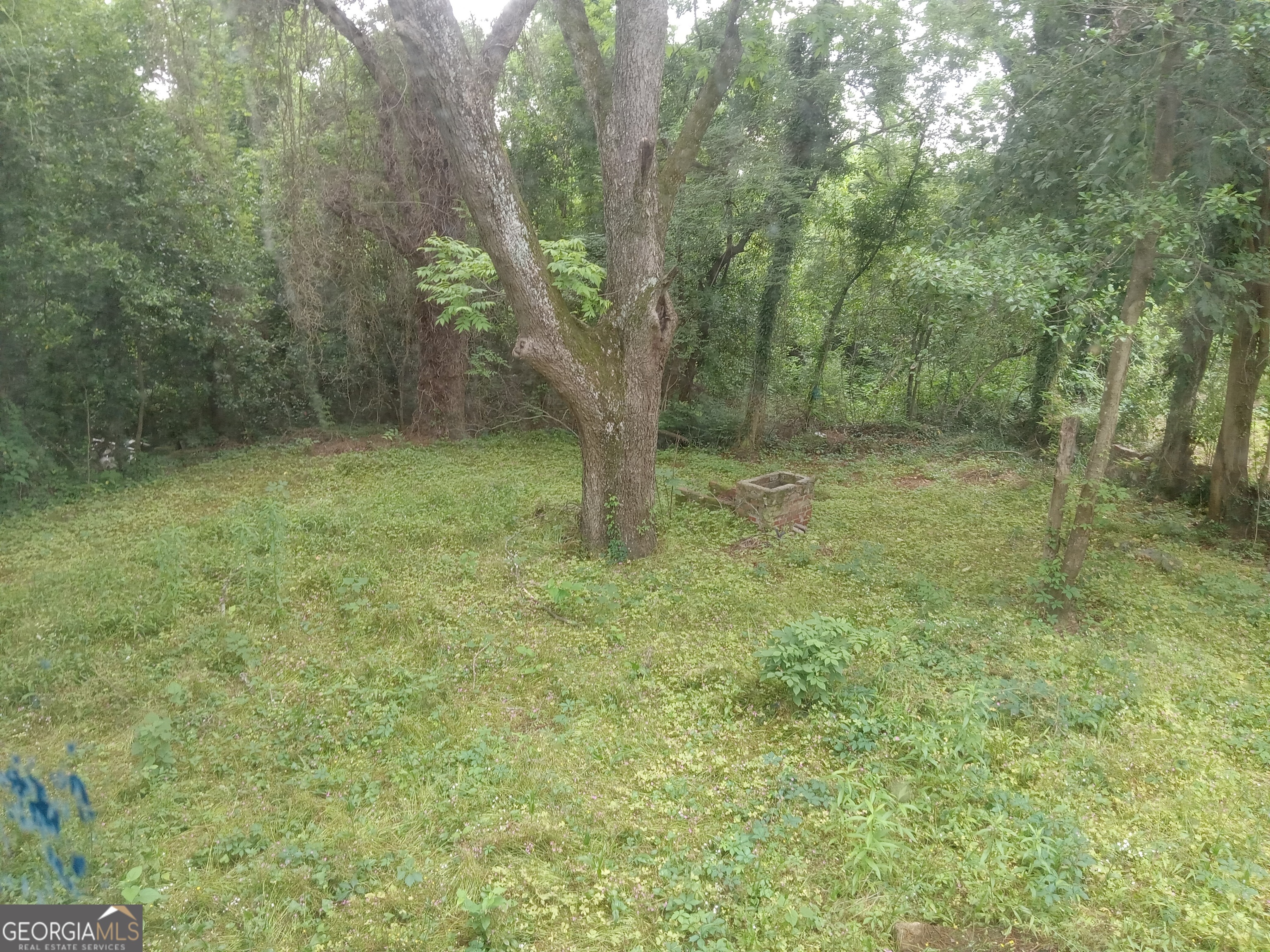 678 Dixie Avenue Macon, GA 31206 - Photo 4 of 19 a view of outdoor space and yard