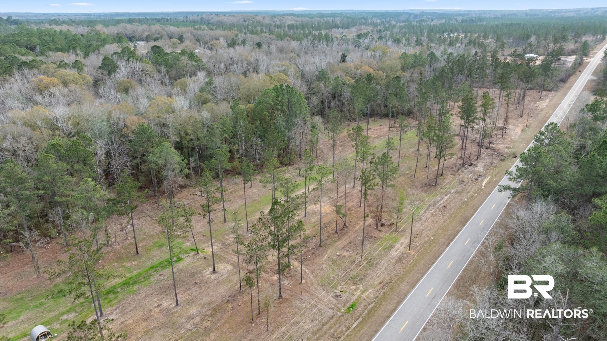 0 Lottie Road Atmore, AL 36502 - Photo 10 of 17 Aerial view of property's location with a forest