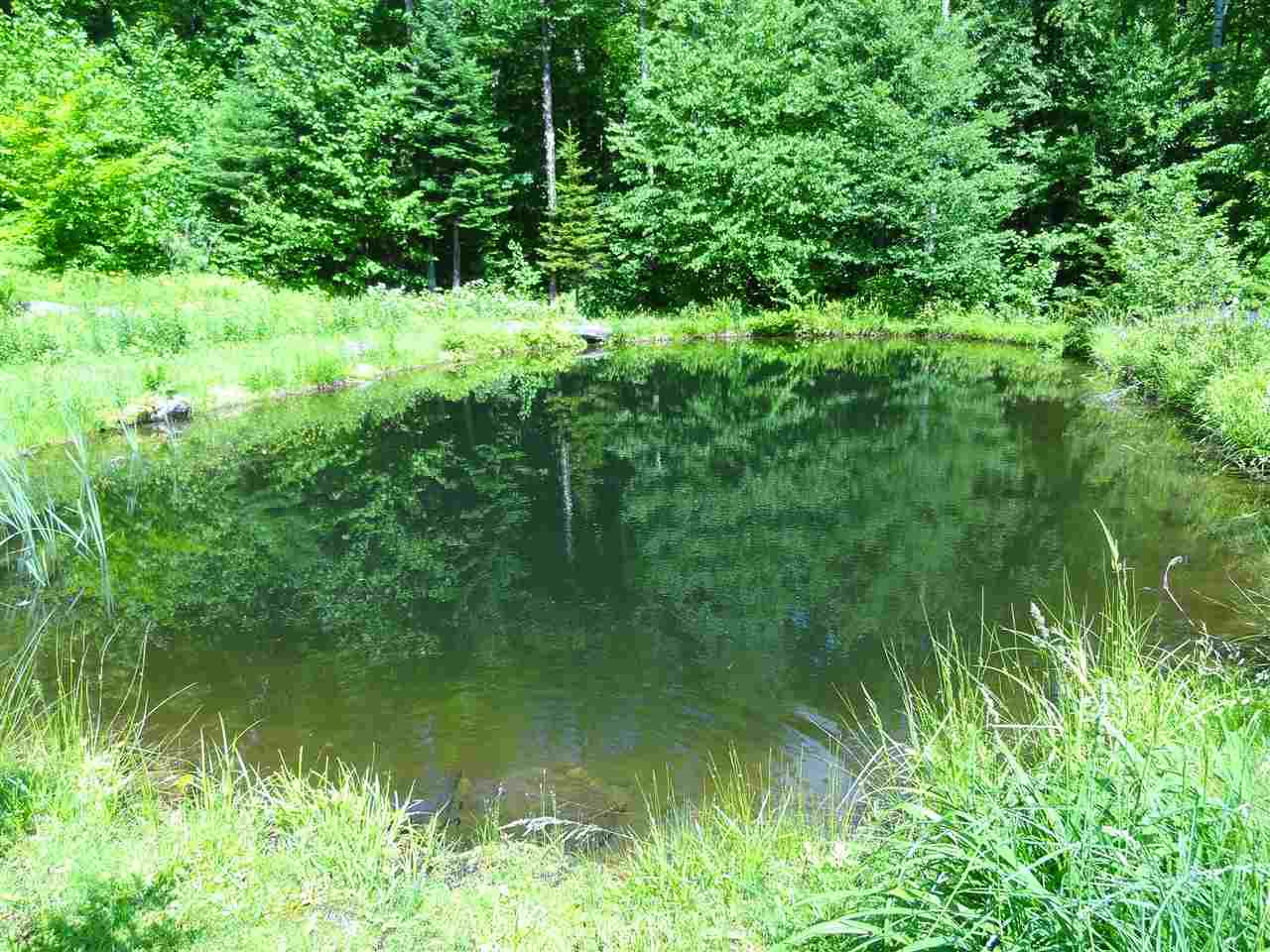 2037 North Hill Road Andover, VT 05143 - Photo 34 of 39