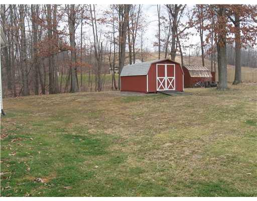800 Blackhawk Road Beaver Falls, PA 15010 - Photo 15 of 17 Yard/Garden.
