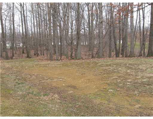 800 Blackhawk Road Beaver Falls, PA 15010 - Photo 16 of 17 Yard/Garden.
