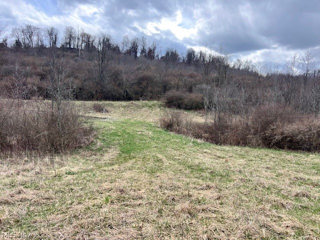 0 Johnson Bethel Road Barnesville, OH 43713 - Photo 7 of 7