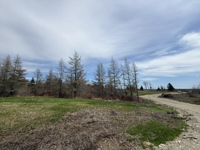 Lot 4 Holmes Bay Farms Road Whiting, ME 04691 - Photo 1 of 18 IMG_9112 (1)