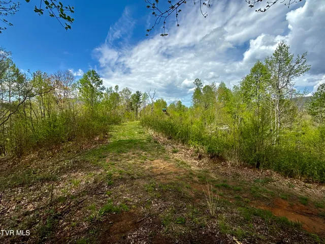 $180,000 | 19-ac Edith Gouge Road, Unicoi, TN 37692