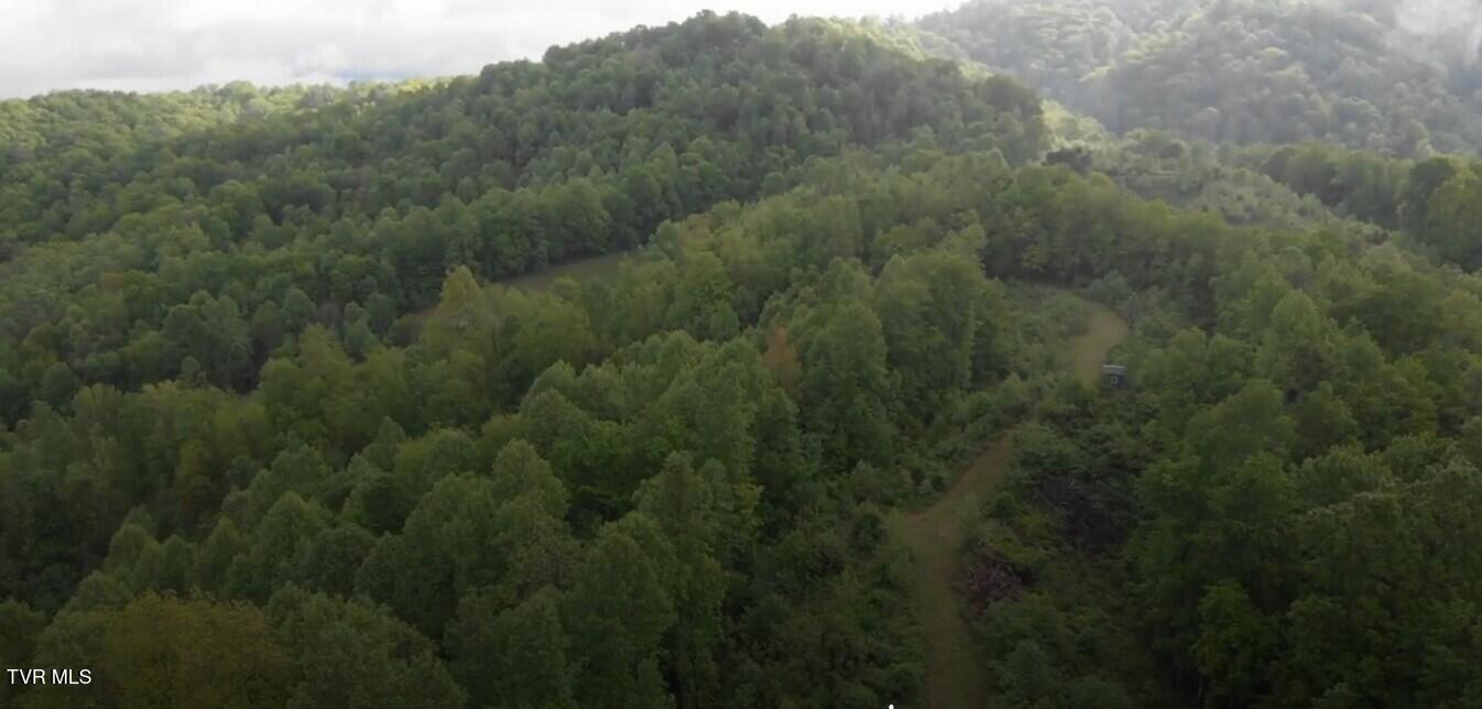 19-ac Edith Gouge Road Unicoi, TN 37692 - Photo 8 of 25 1