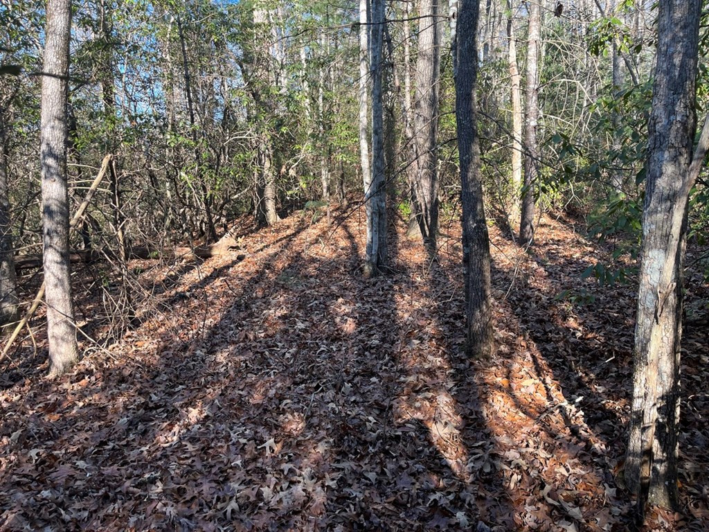 Tbd Cp Crk Road Murphy, NC 28906 - Photo 4 of 14