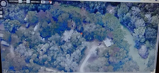 a view of a dry yard