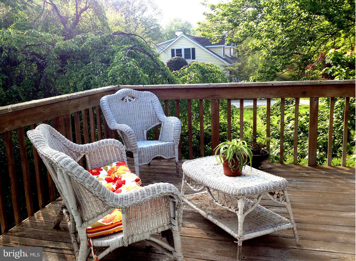 1111 Collison Road Mayo, MD 21037 - Photo 23 of 28 Treetop Deck Off Bedroom