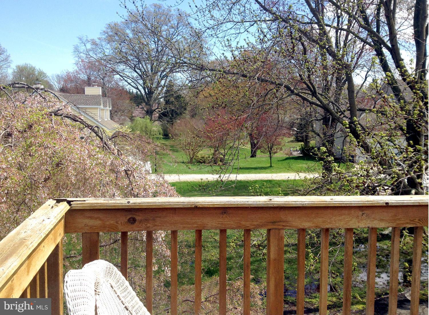 1111 Collison Road Mayo, MD 21037 - Photo 24 of 28 Seasonal Bursts of Color from Flowering Trees