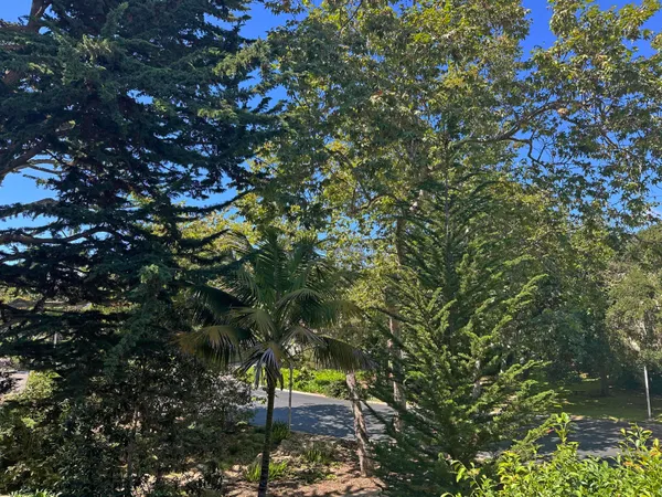 a living room with couch and a window