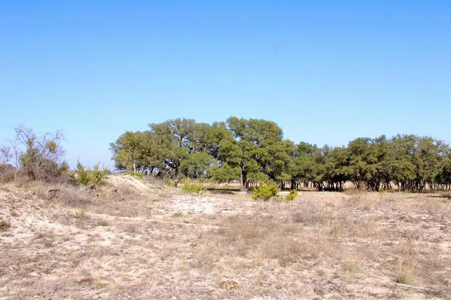 a view of a dry yard with trees