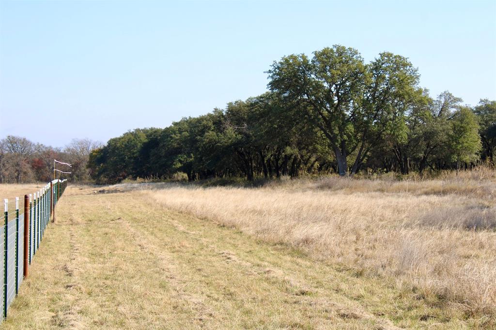 Lot 41 County Road 266 Gustine, TX 76455 - Photo 13 of 18 a view of large yard