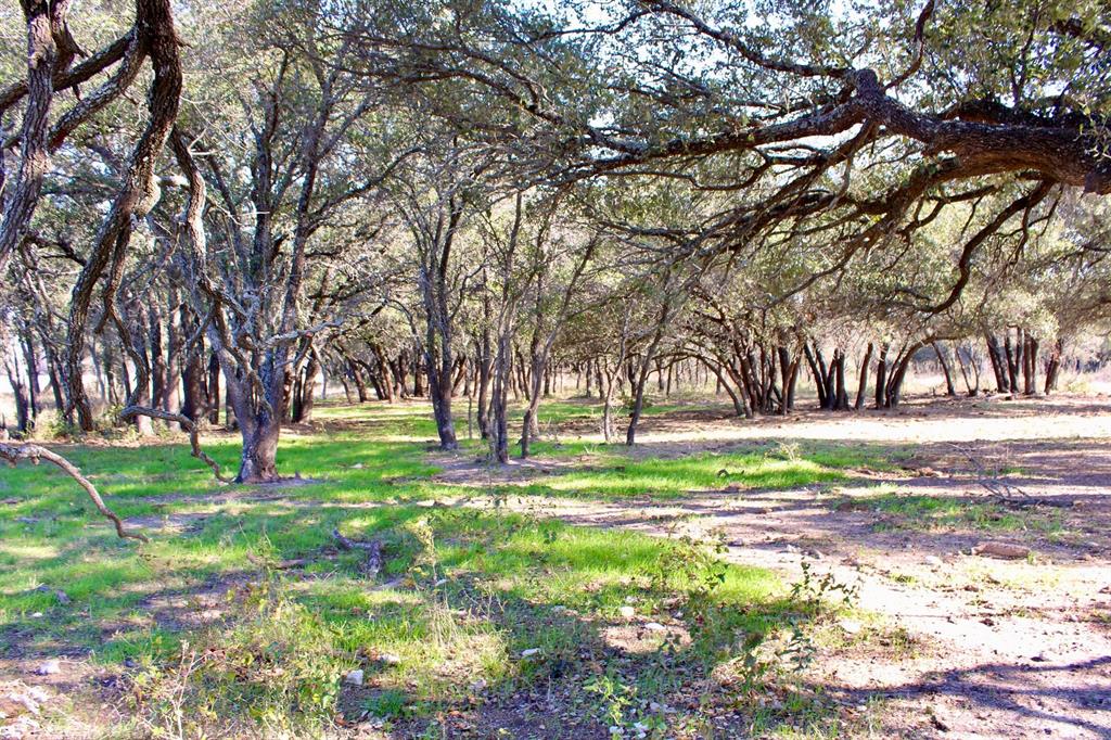 Lot 41 County Road 266 Gustine, TX 76455 - Photo 14 of 18 a city view with tall trees