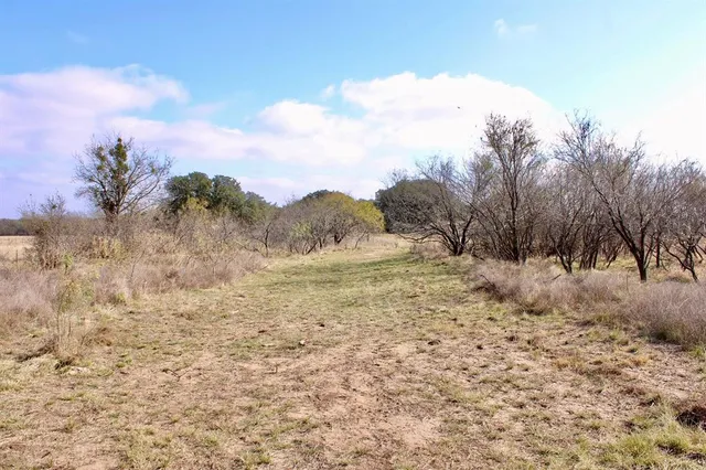a view of a dry yard with trees