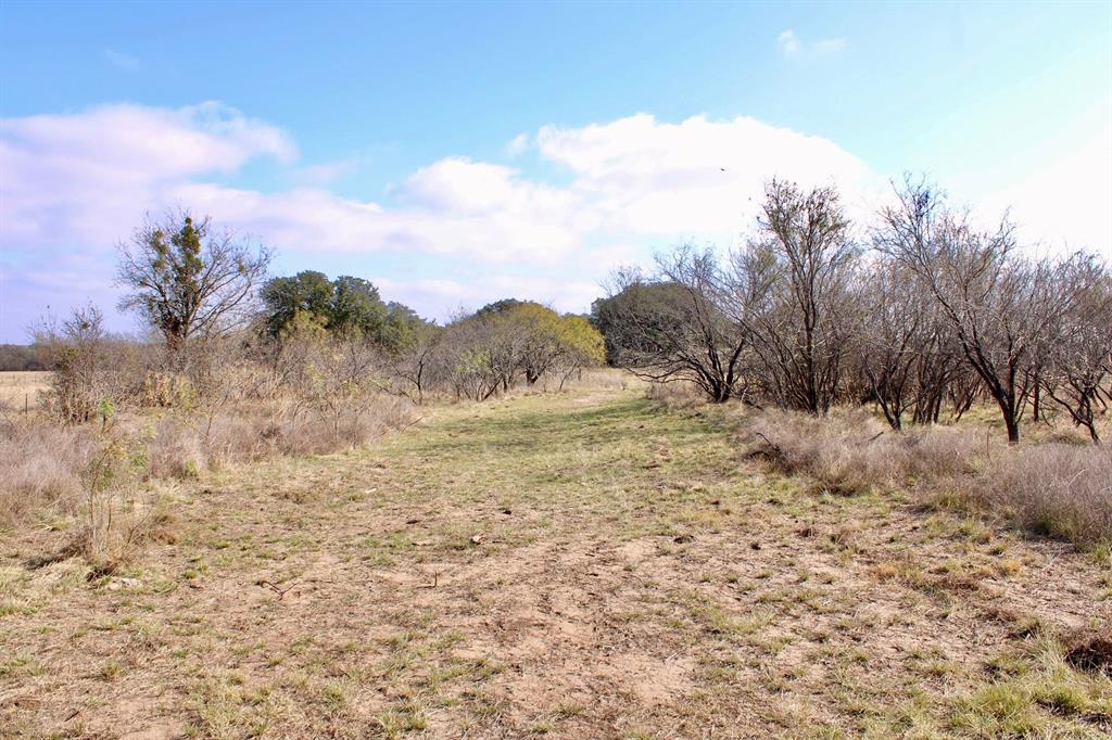 Lot 41 County Road 266 Gustine, TX 76455 - Photo 15 of 18 a view of a dry yard with trees