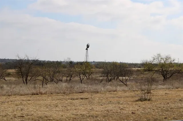 a view of a dry yard with trees