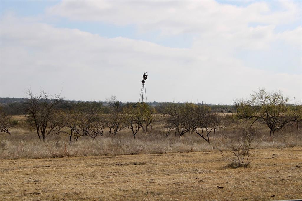 Lot 41 County Road 266 Gustine, TX 76455 - Photo 16 of 18 a view of a dry yard with trees