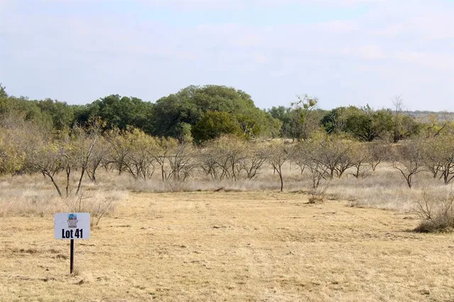 a view of a yard with an trees