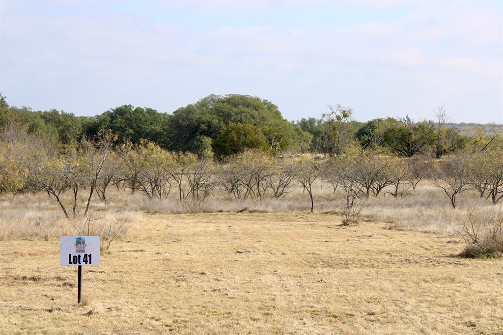 Lot 41 County Road 266 Gustine, TX 76455 - Photo 3 of 18 a view of a yard with an trees