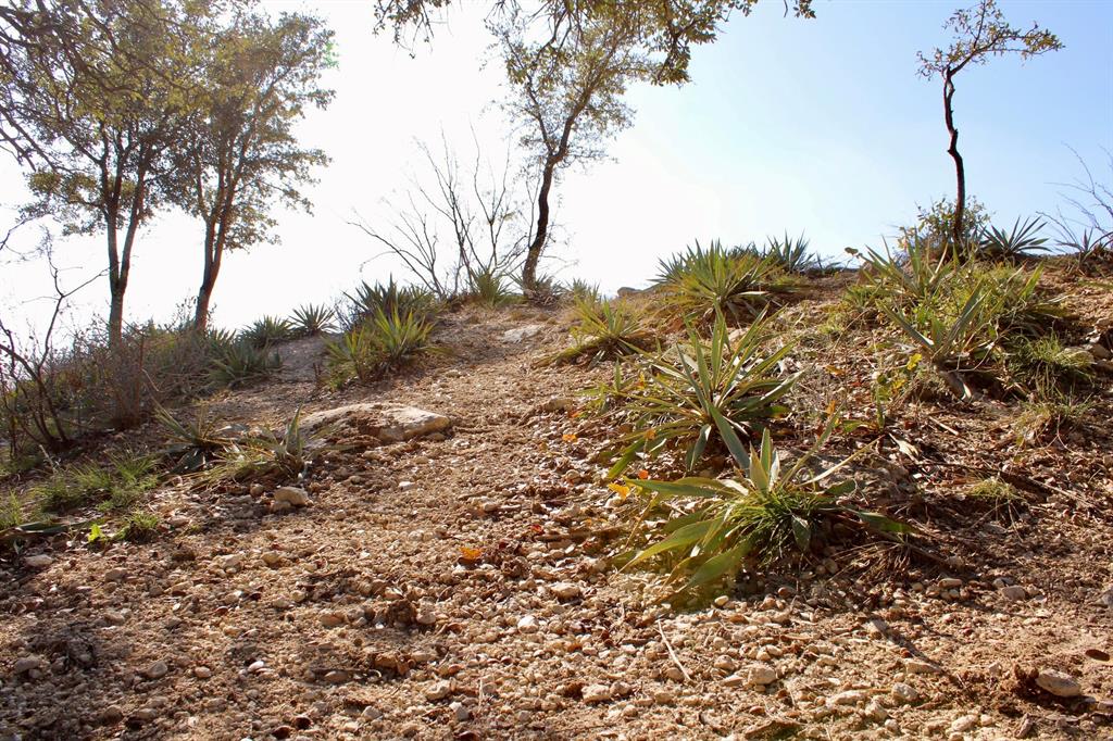 Lot 41 County Road 266 Gustine, TX 76455 - Photo 9 of 18 a view of a tree in a field