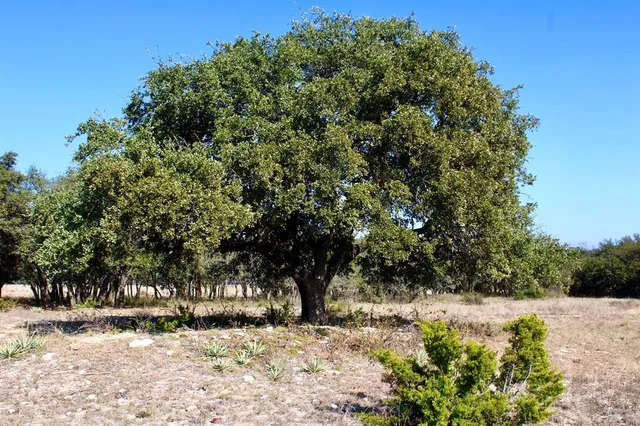 a view of a yard covered with snow in front of house