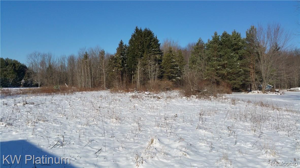 3116 Vincent Road North Street, MI 48049 - Photo 10 of 29 VIEW OF PROPERTY
