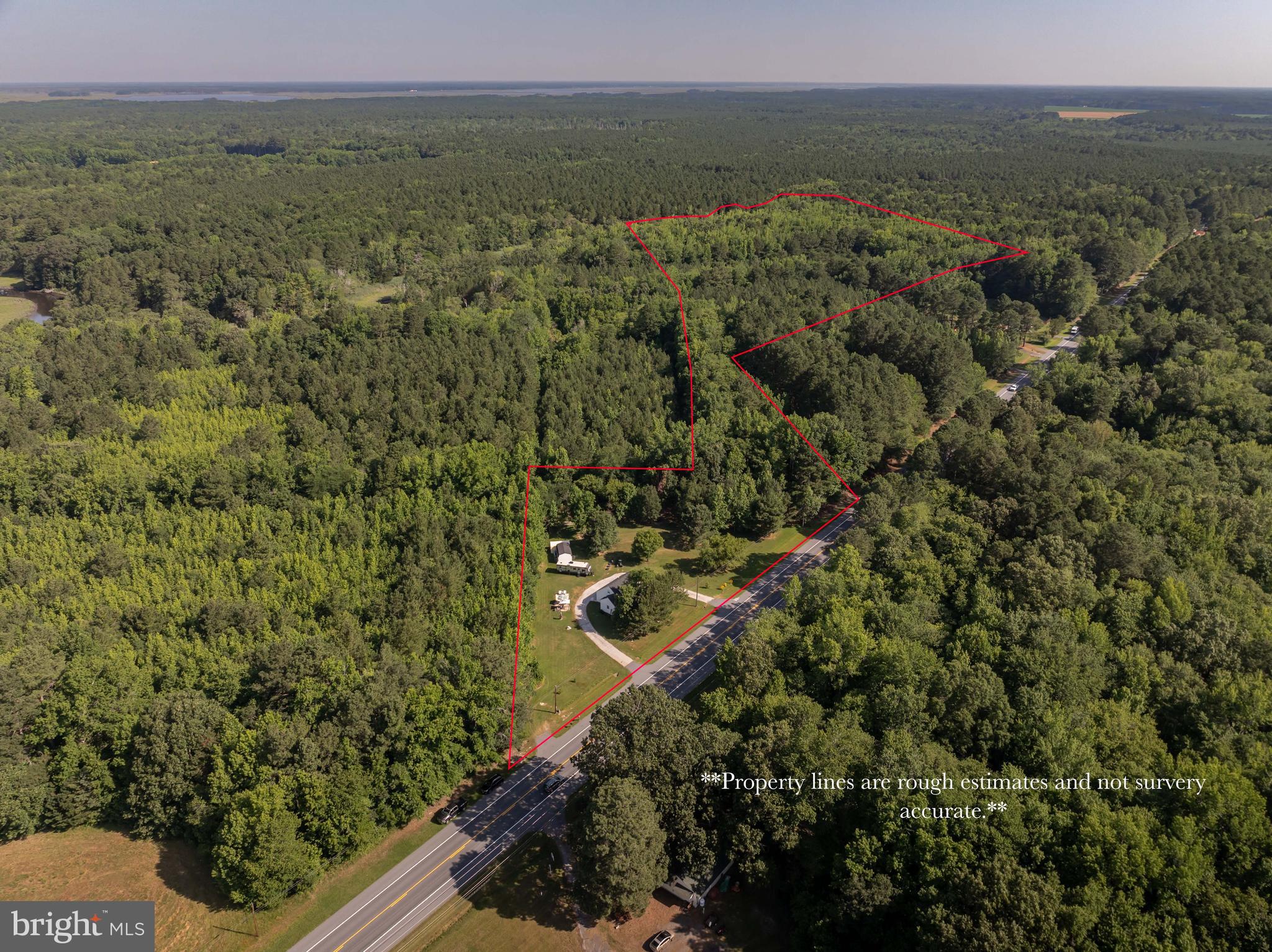 23078 Nanticoke Road Quantico, MD 21856 - Photo 60 of 67 a view of a forest with an outdoor space and trees