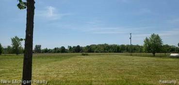11286 Ray Road Gaines, MI 48436 - Photo 13 of 15