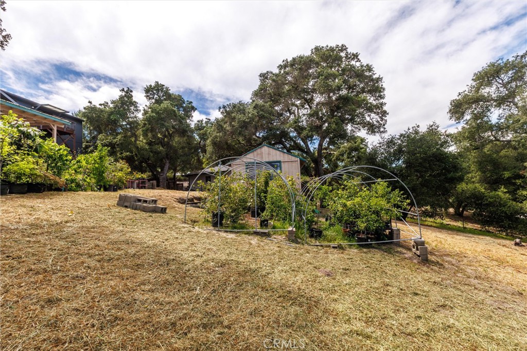 3175 Arena Avenue Atascadero, CA 93422 - Photo 38 of 40 a view of backyard with green space